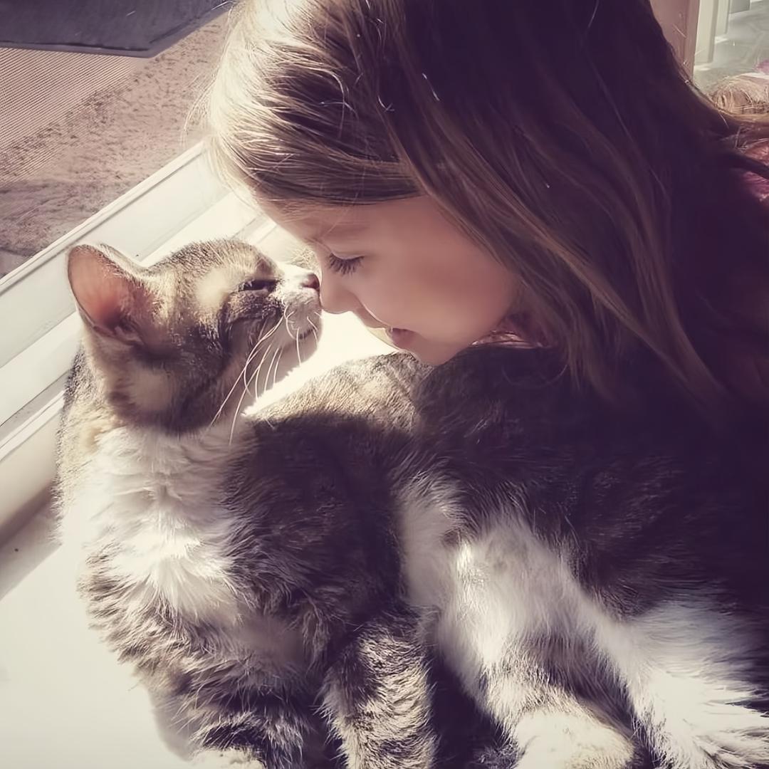 猫耳的铃