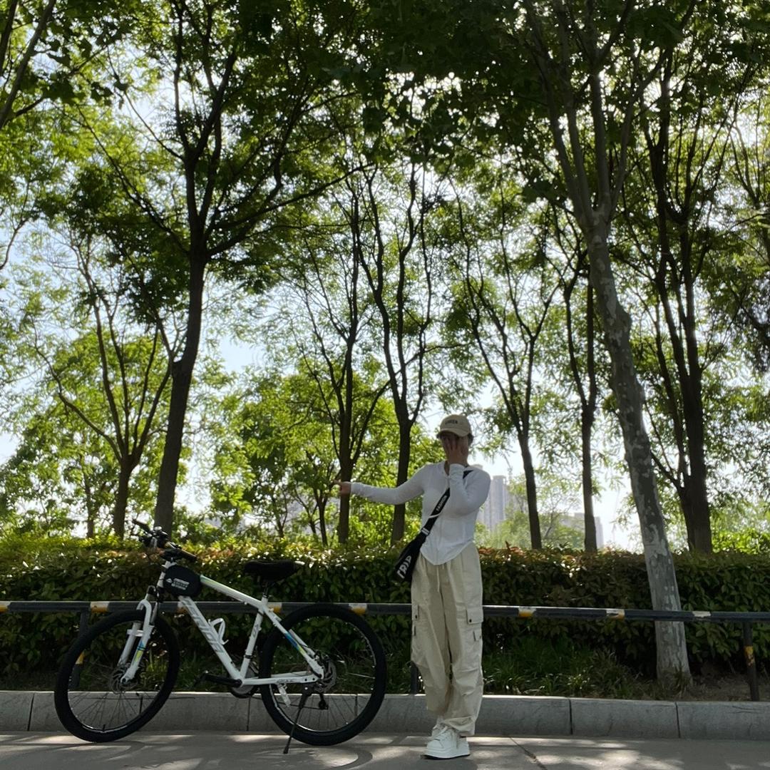 ·所見即我 🚲