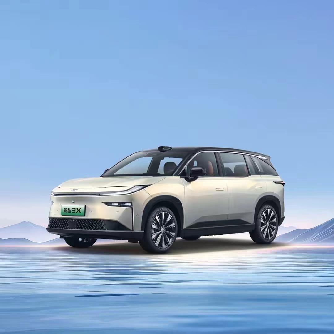 广汽丰田新能源（乐清广通温州店）