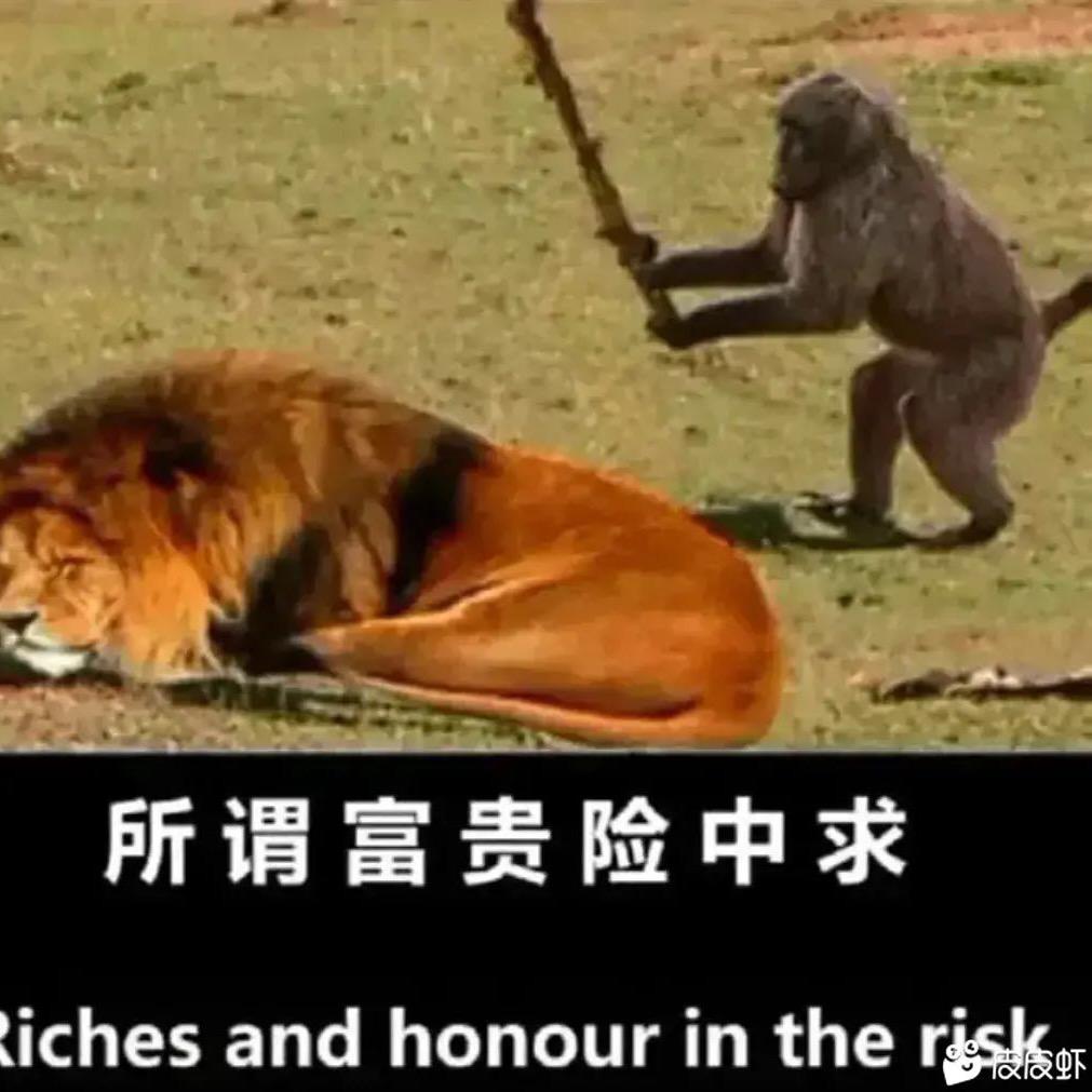 乌鸦一身黑