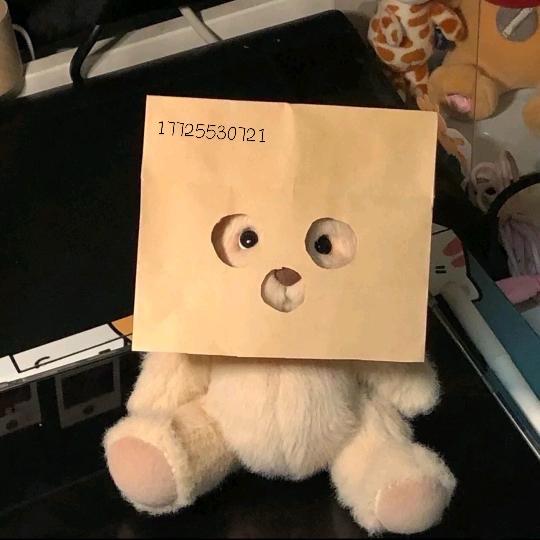 婧婧.（出🐭）