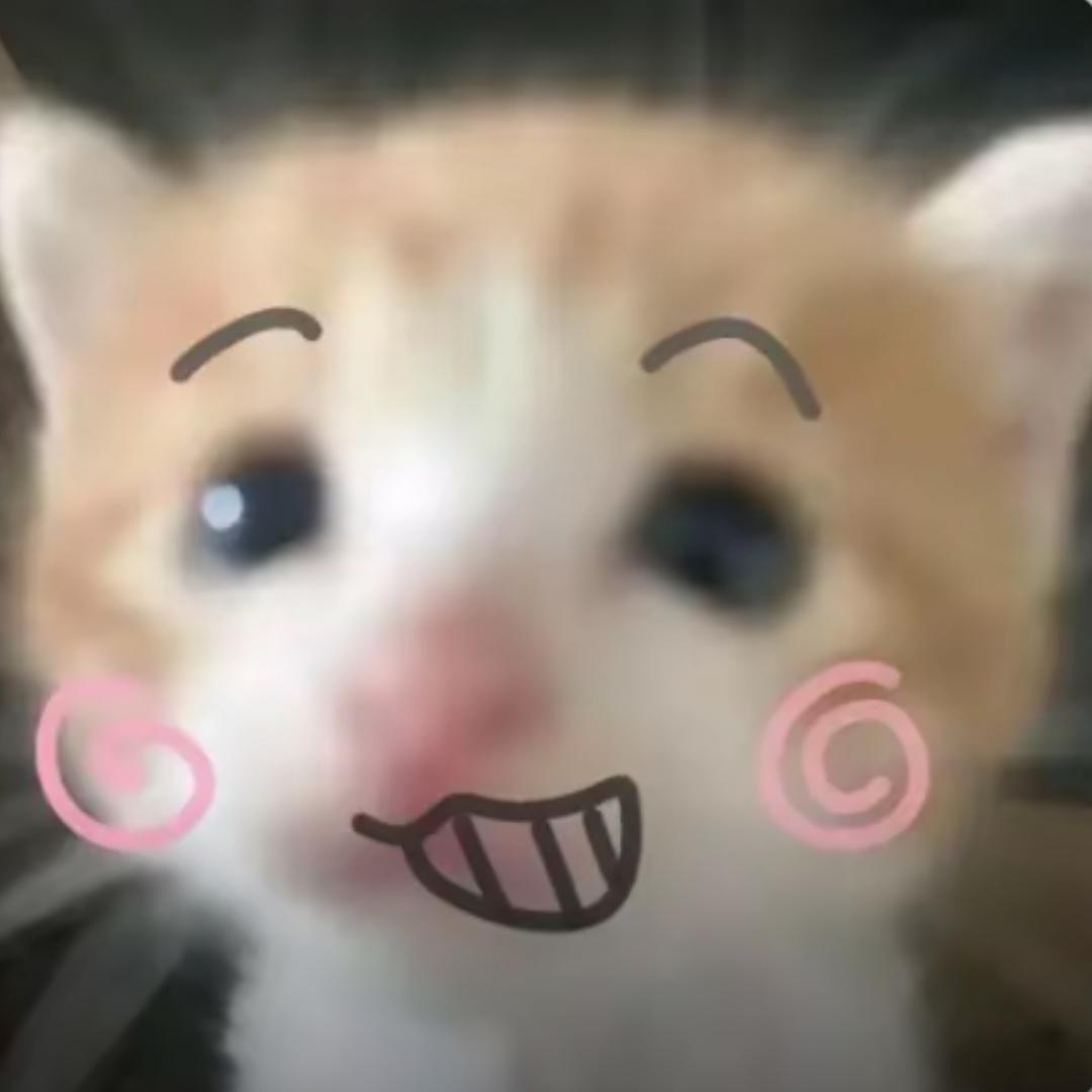 双月槐