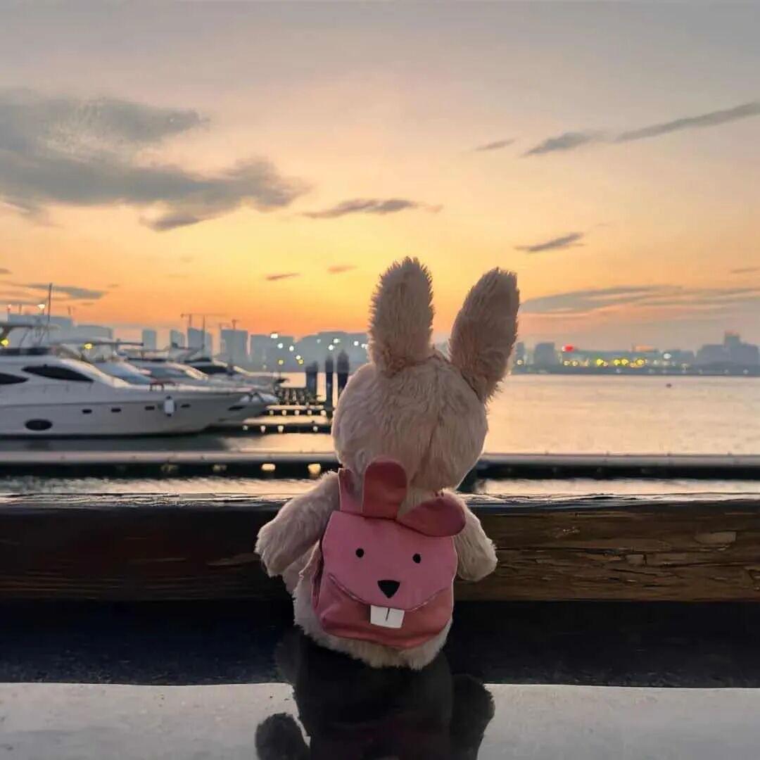 今天你开心了吗🌸