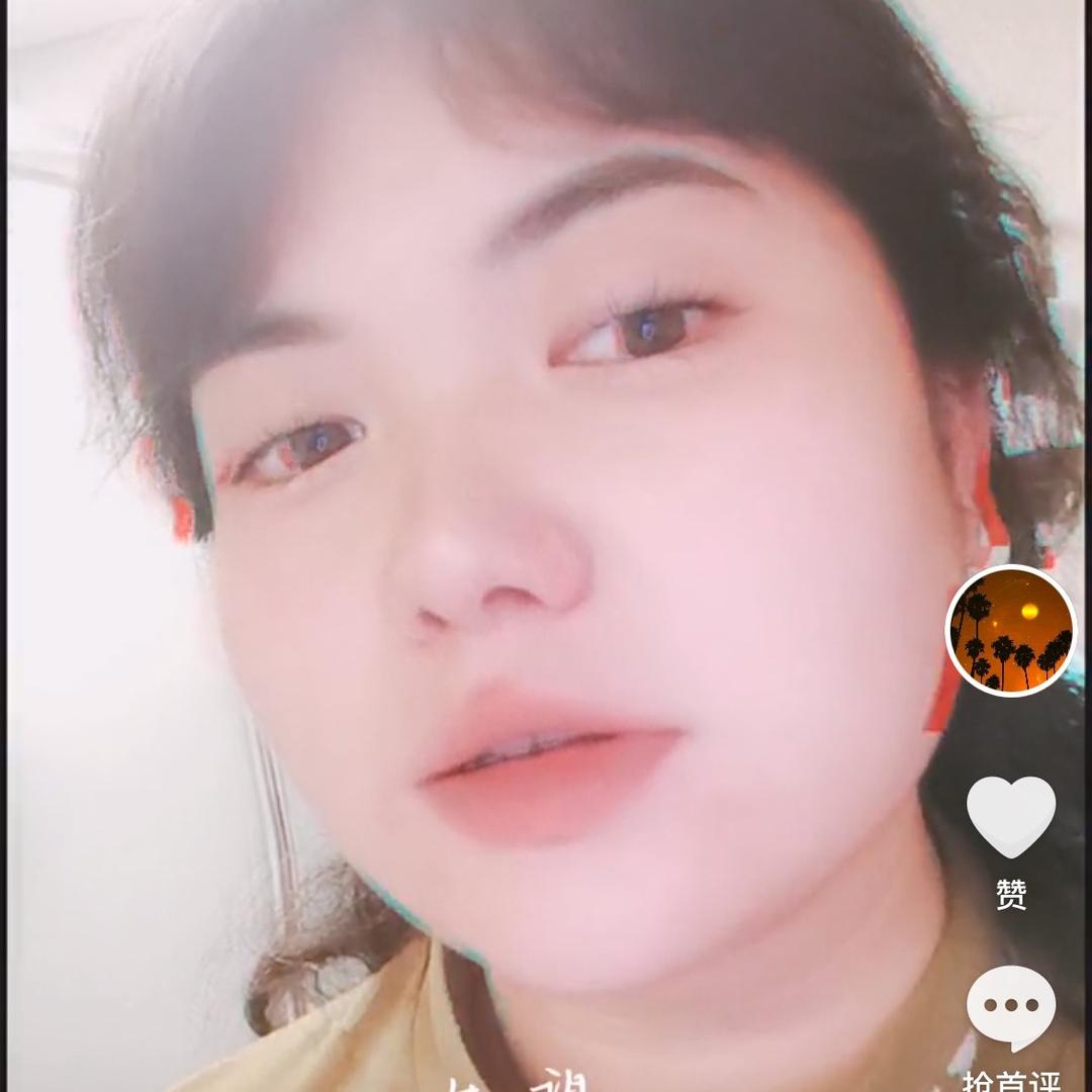 猫的天空