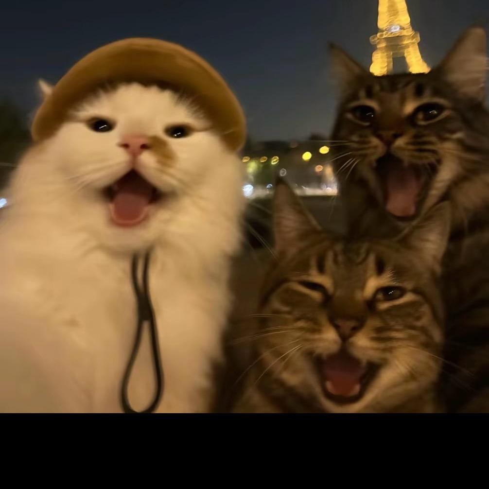 谁吃了我的西红柿🍅