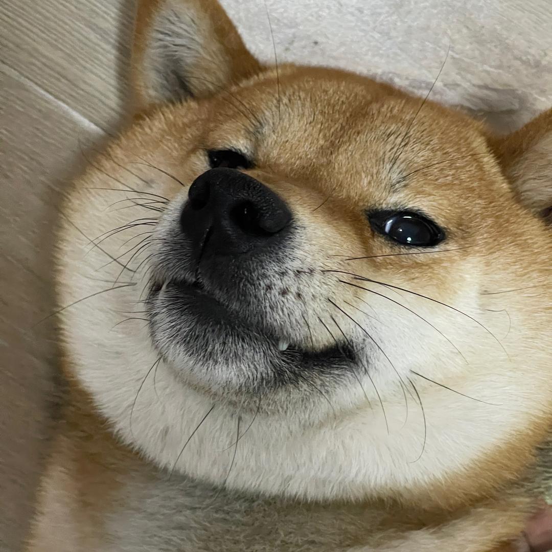 wendy不在碗底