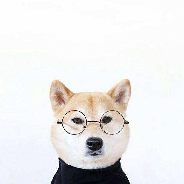 王小四