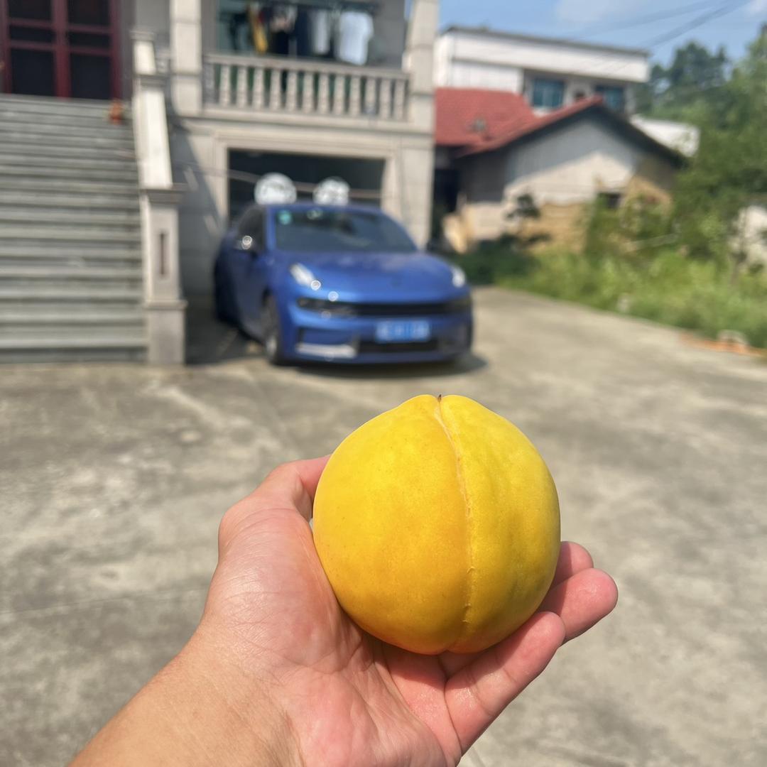 白天不懂夜的黑