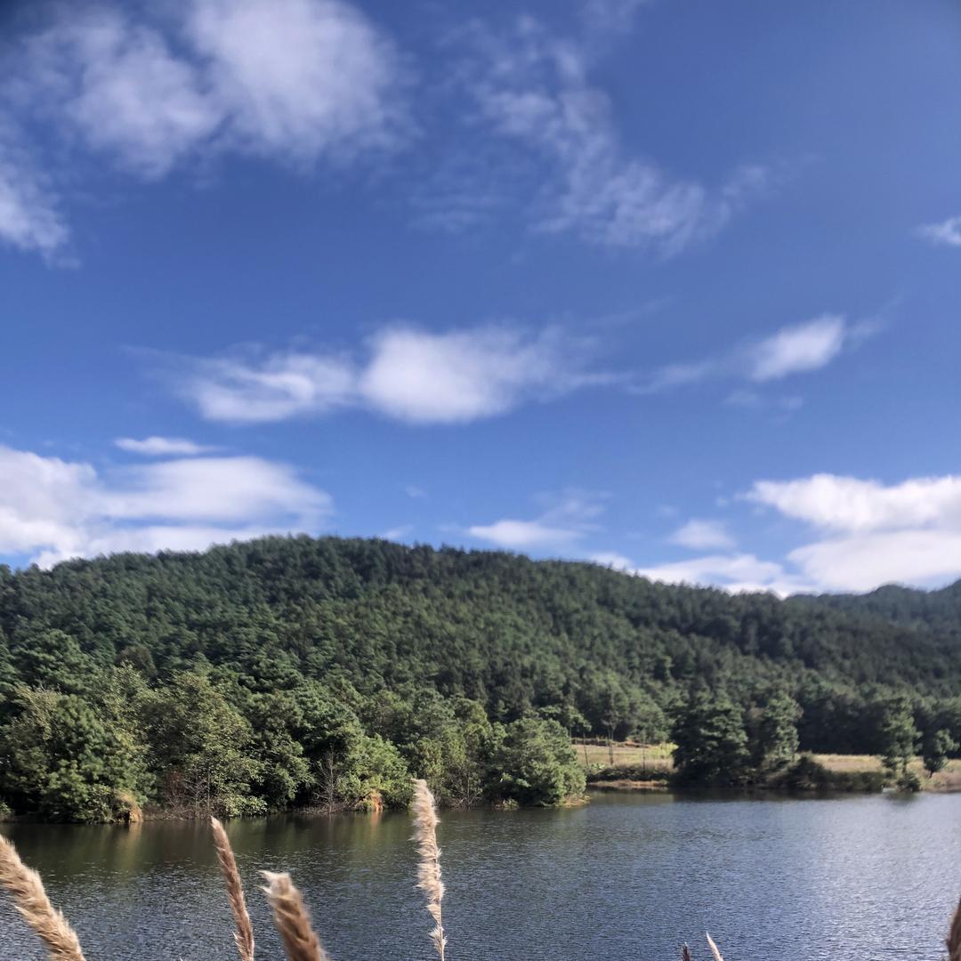 涛哥鱼具工厂店