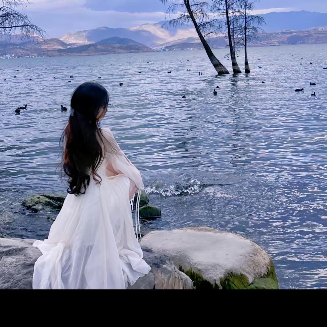 杨玉环