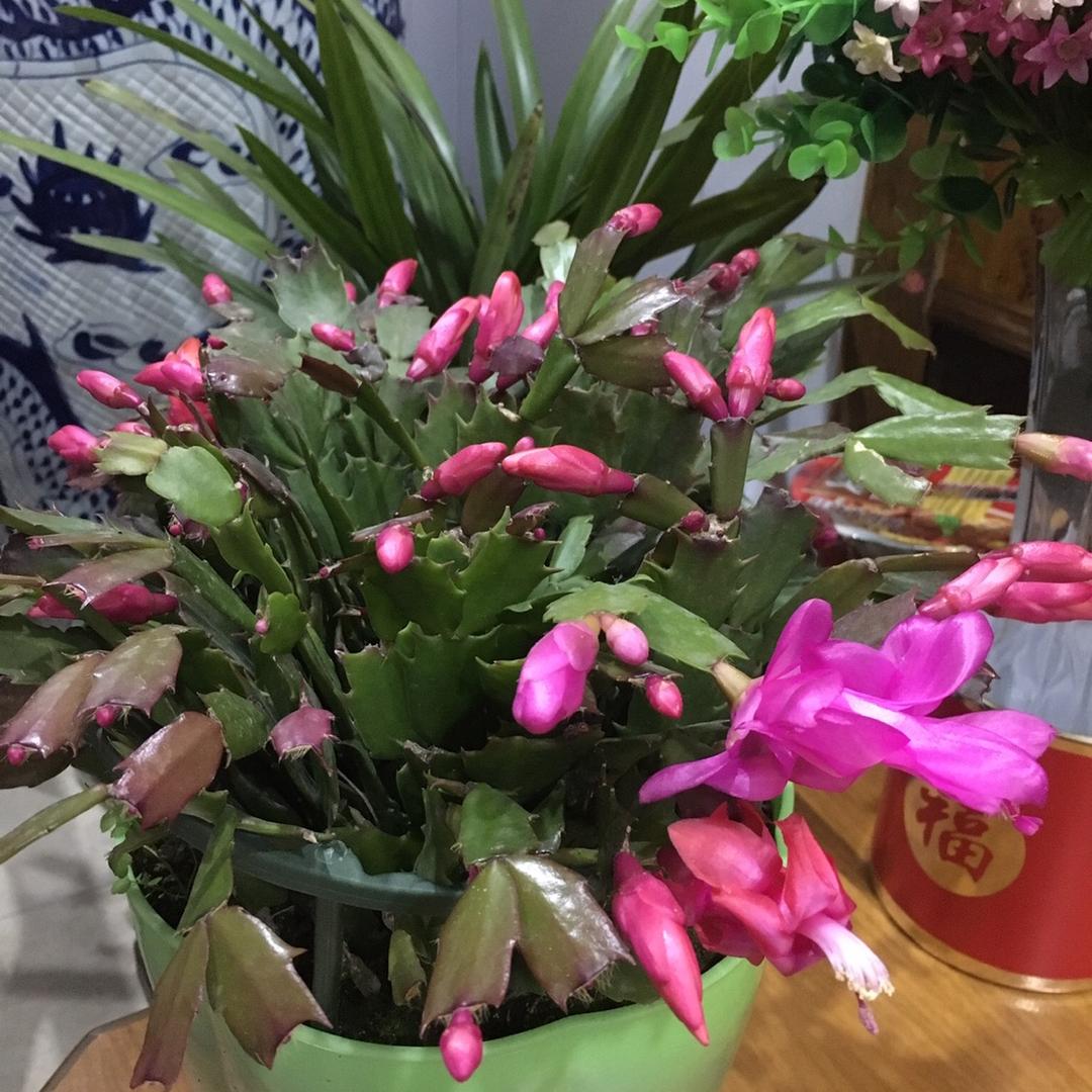 用户1200065422291宁静致远