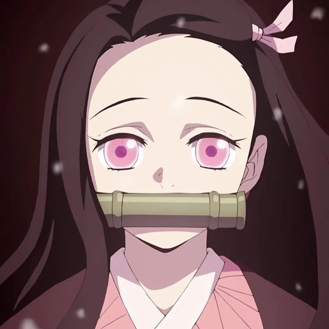 小猫大王