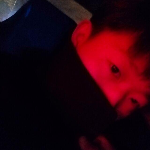 张伟豪_