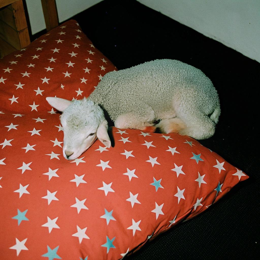 尿尿