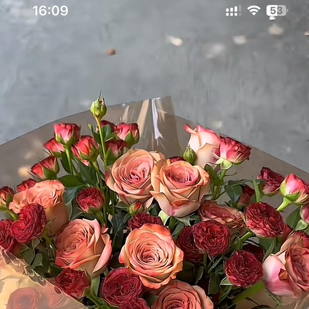 韦姐亲选