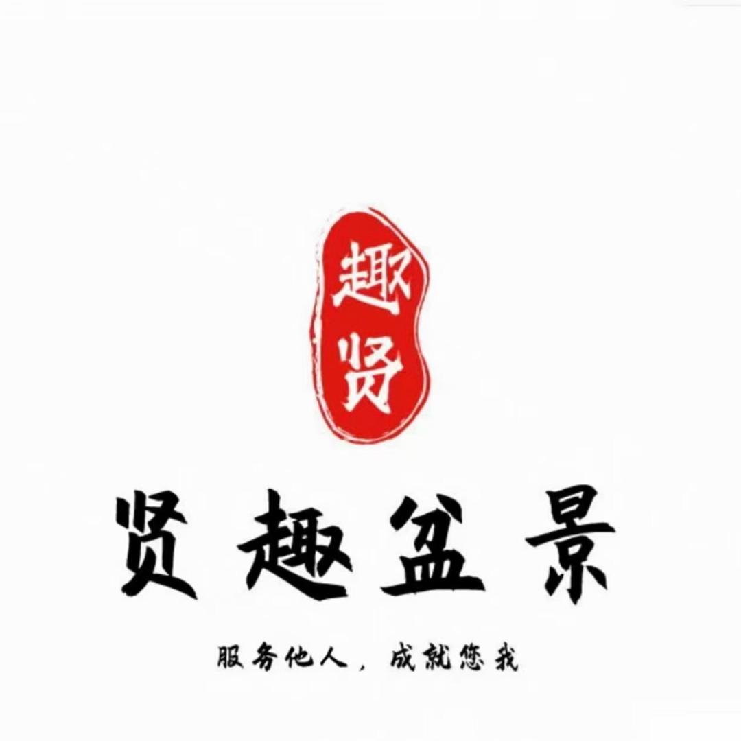 重生之我在卖盆景