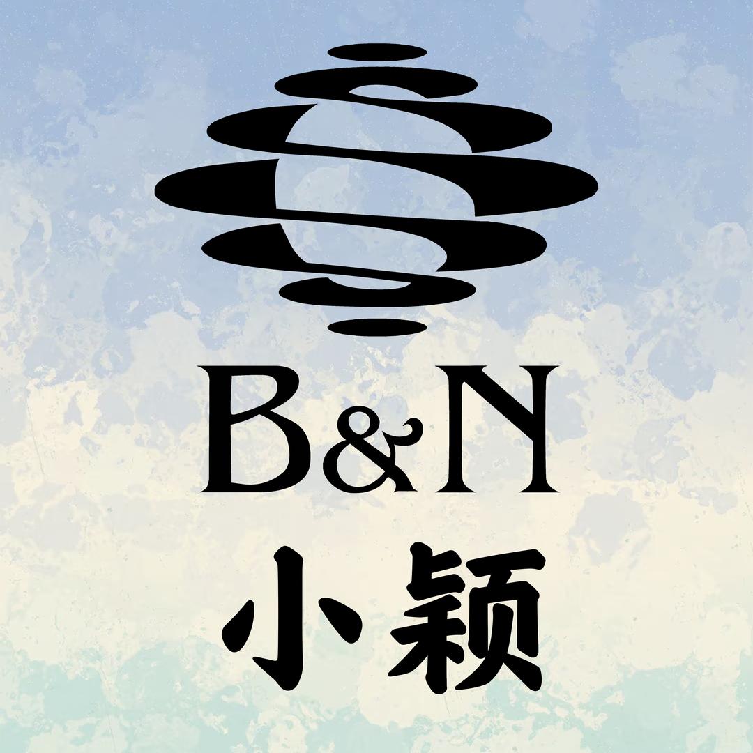 BN台球杆 小颖店