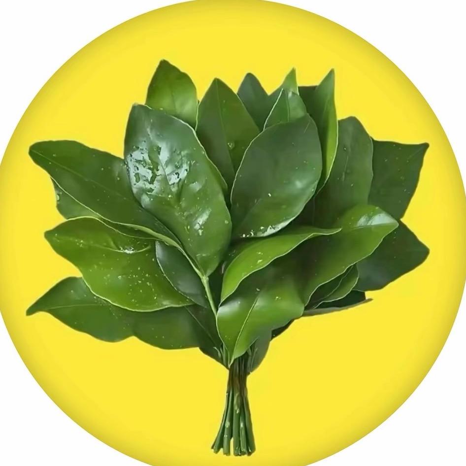 老盐不闲