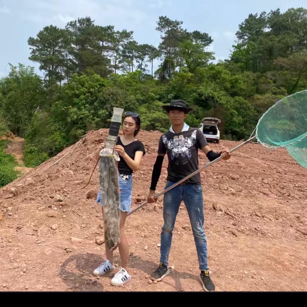 容县捕蜂人🐝(小号)