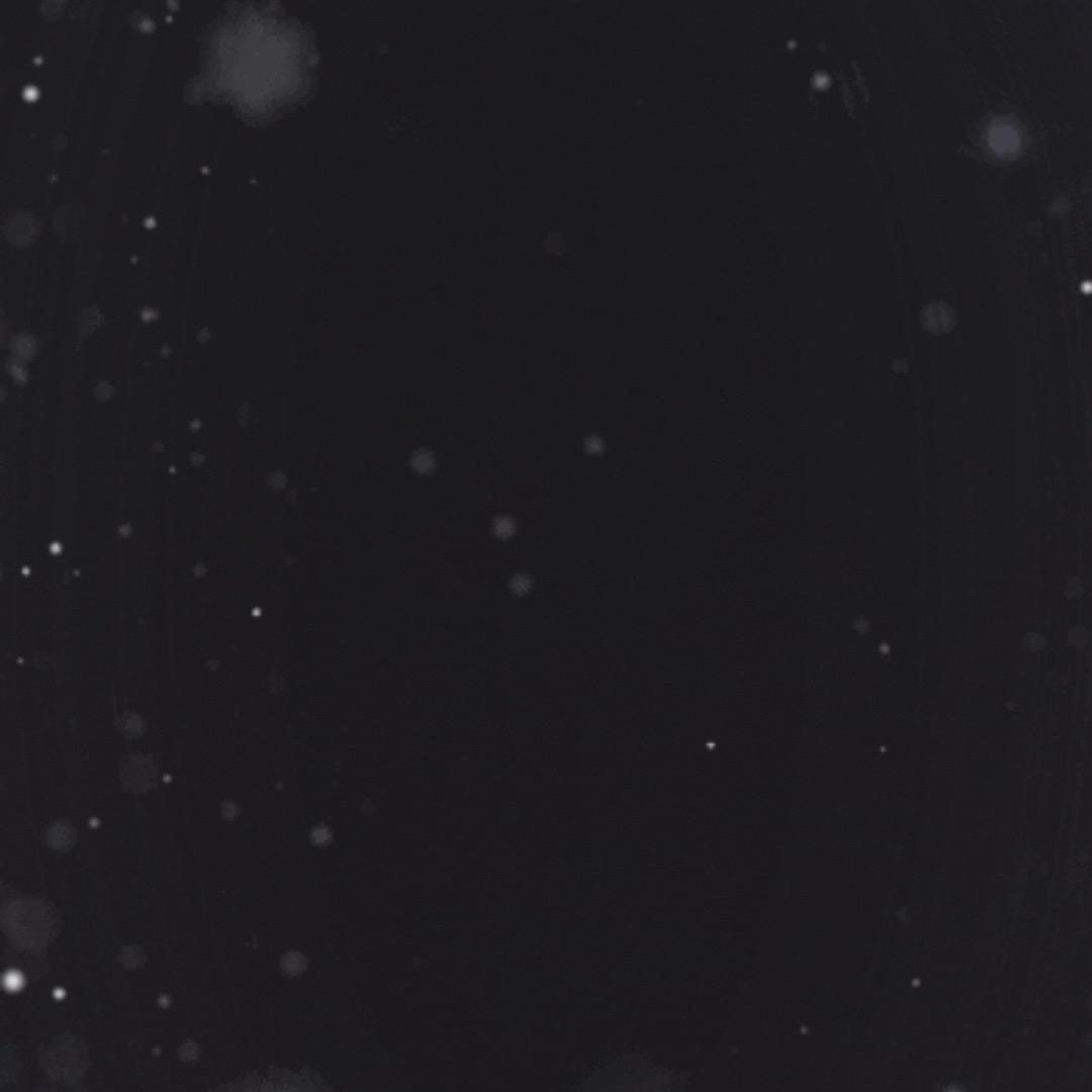 ….