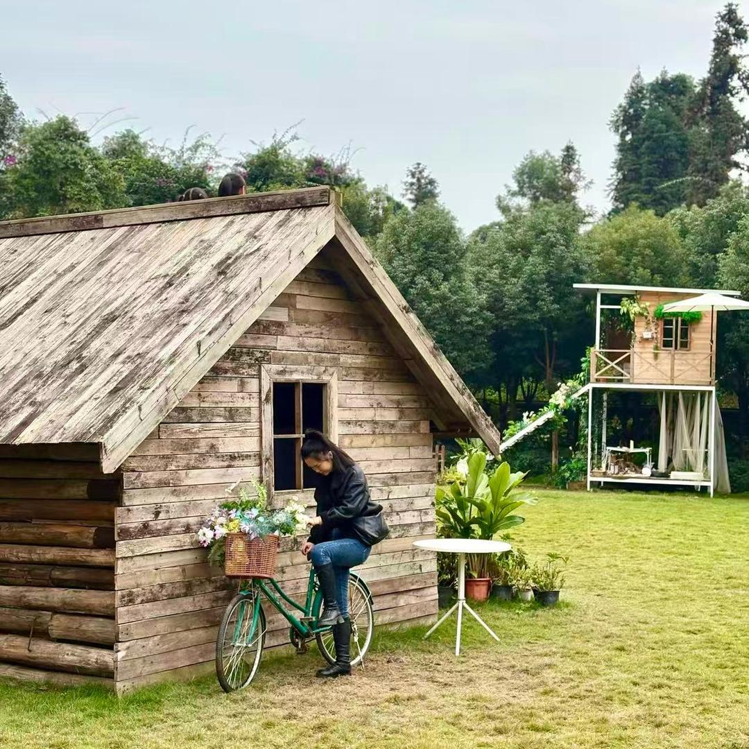 妙圆💗🐭🐲🐒