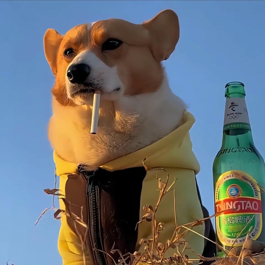 极个别同志👉