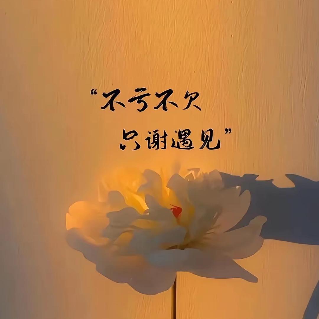 🦋无可奈何🥀