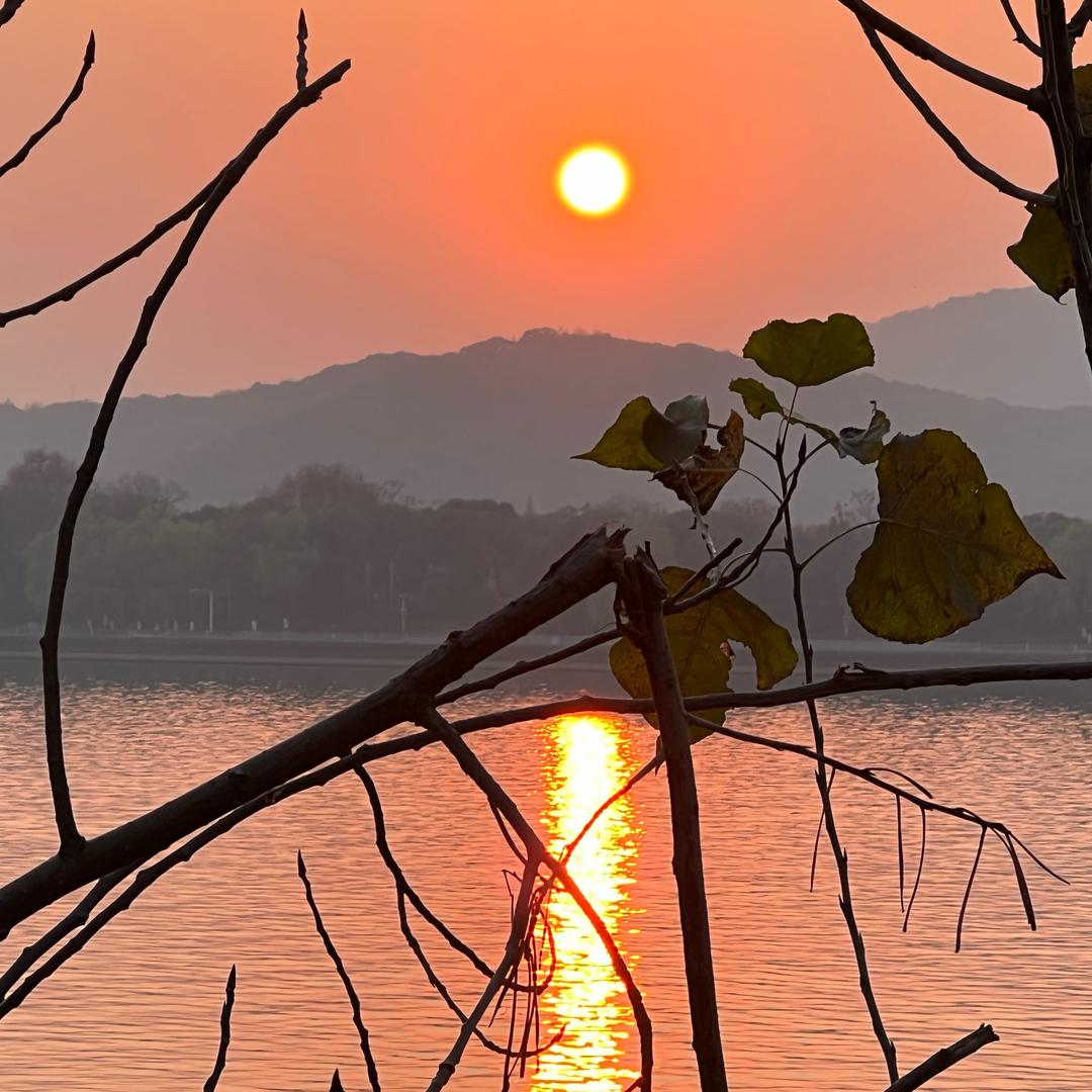 卸载抖音去复习