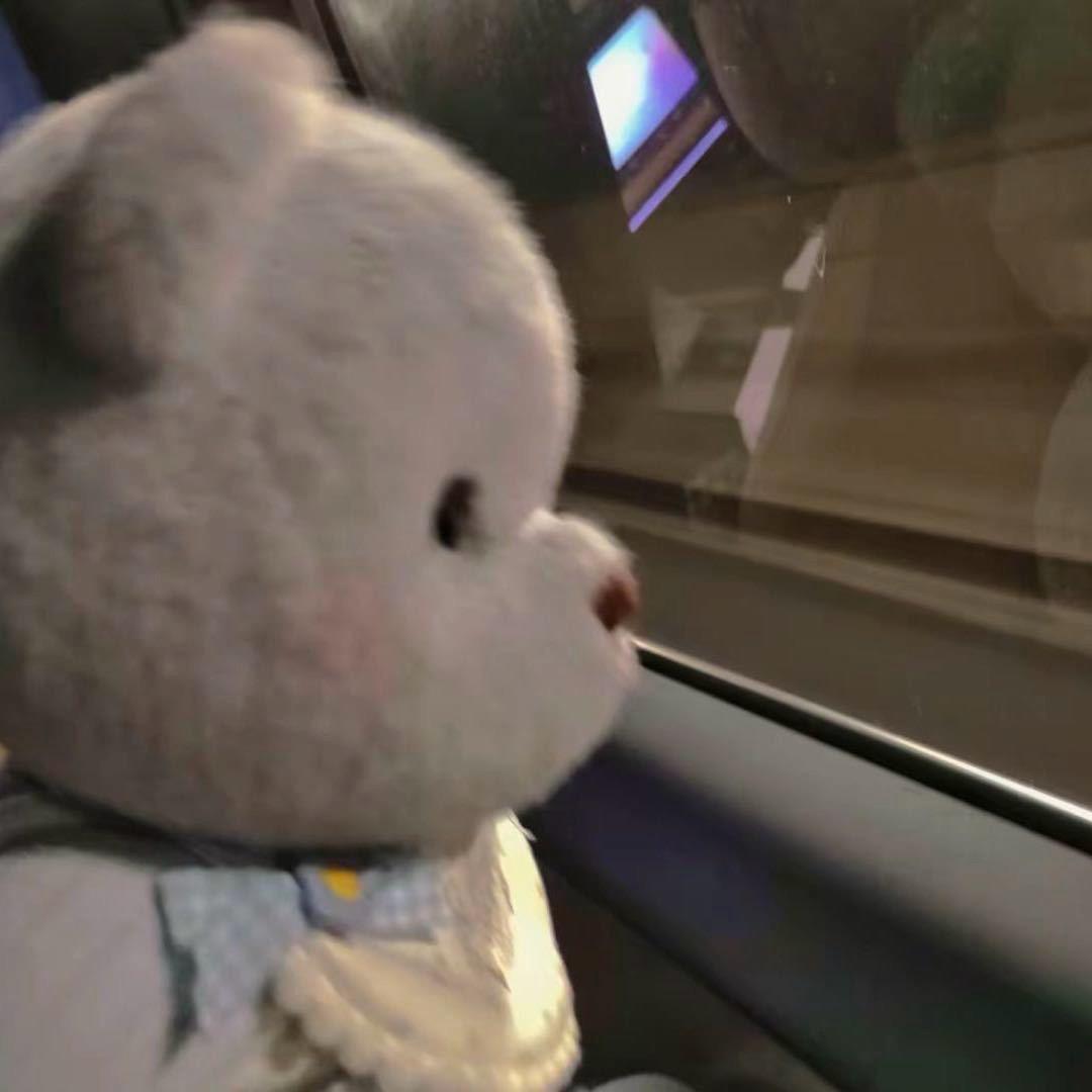 二宝（雨濛濛的小仆）