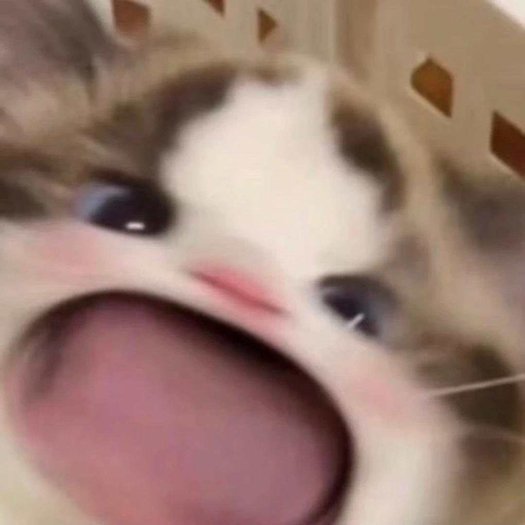 摇甜粥