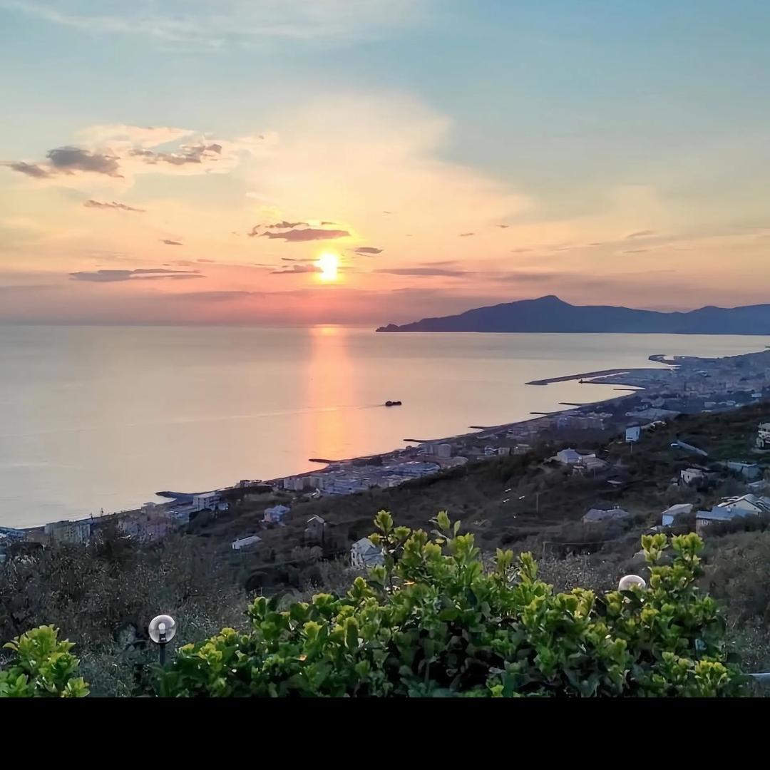 海中鱼