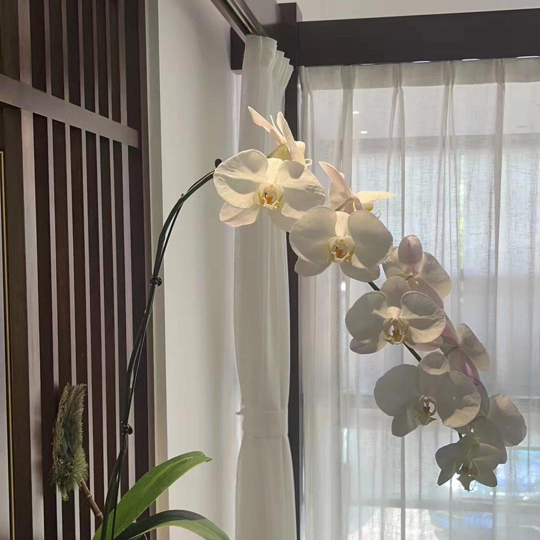 小潇潇说房信息咨询