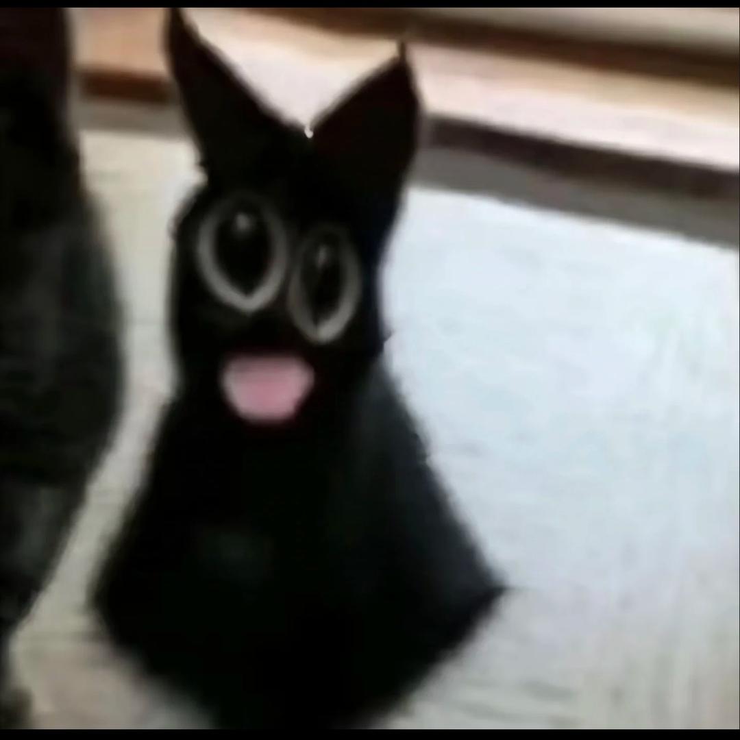 超级懒大王ᐠ( ᑒ  )ᐟ