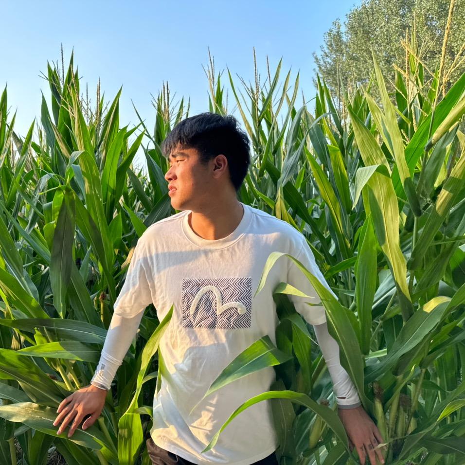 高高不上火@抖音