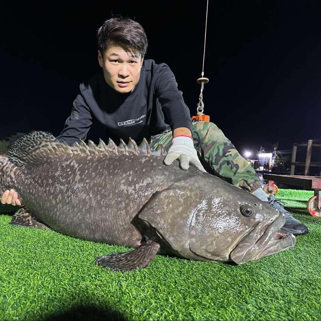 张德彪钓鱼直播