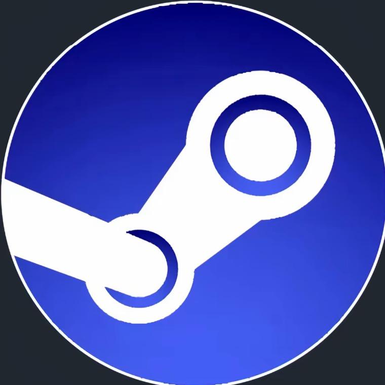 steam组长
