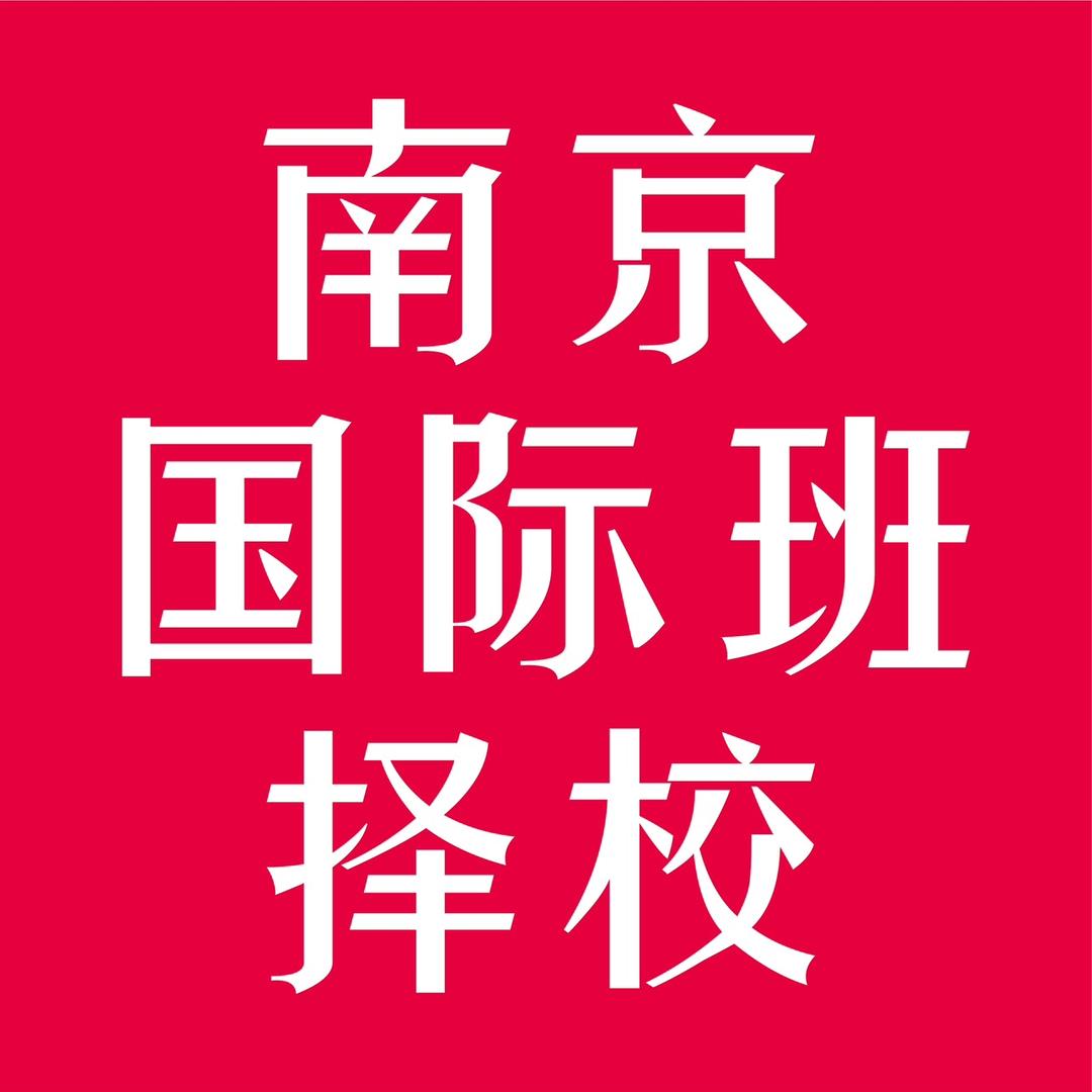 南京国际班择校王琪
