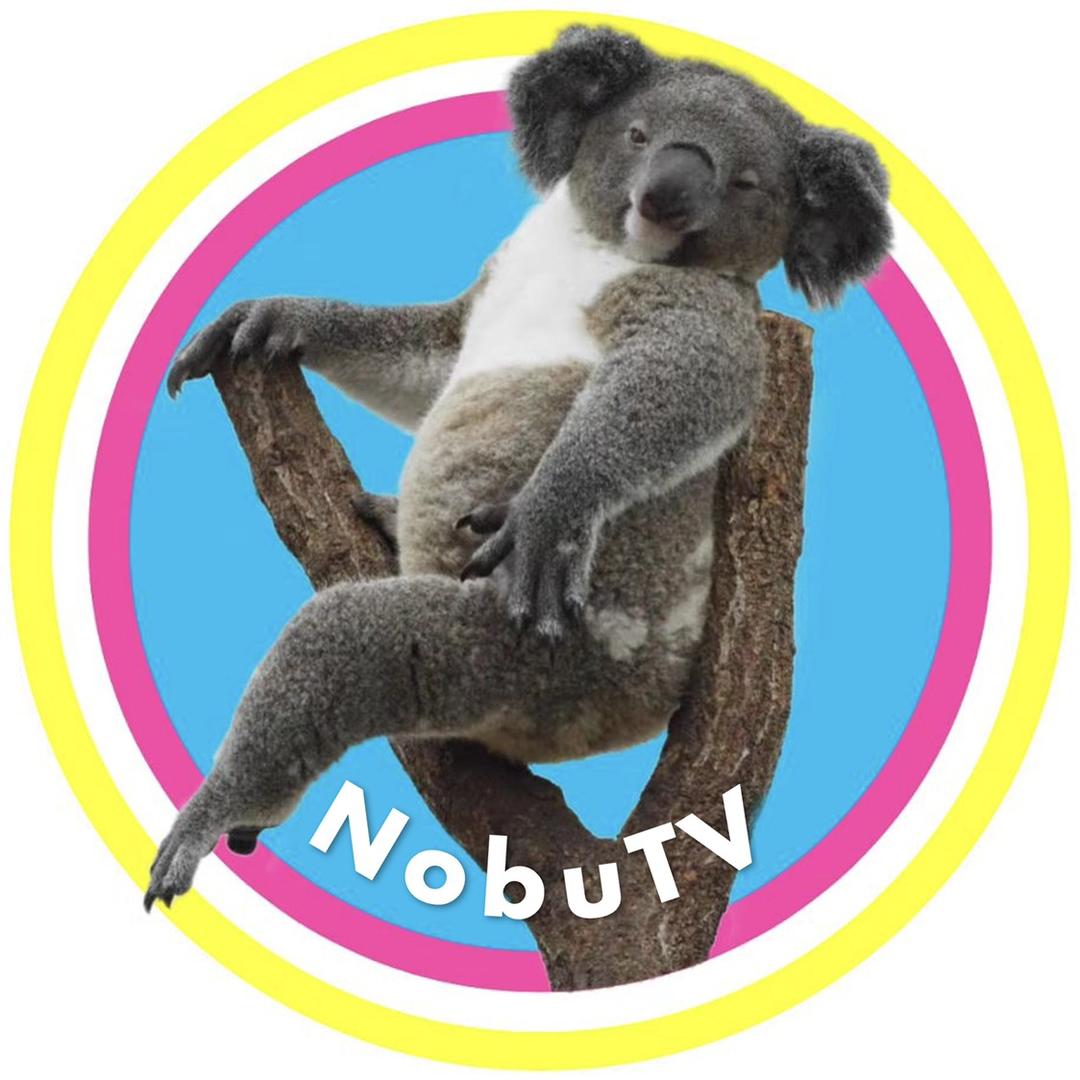 小猪信Nobu