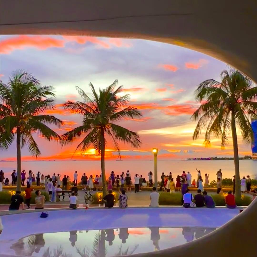 海口龙华硕骞魁