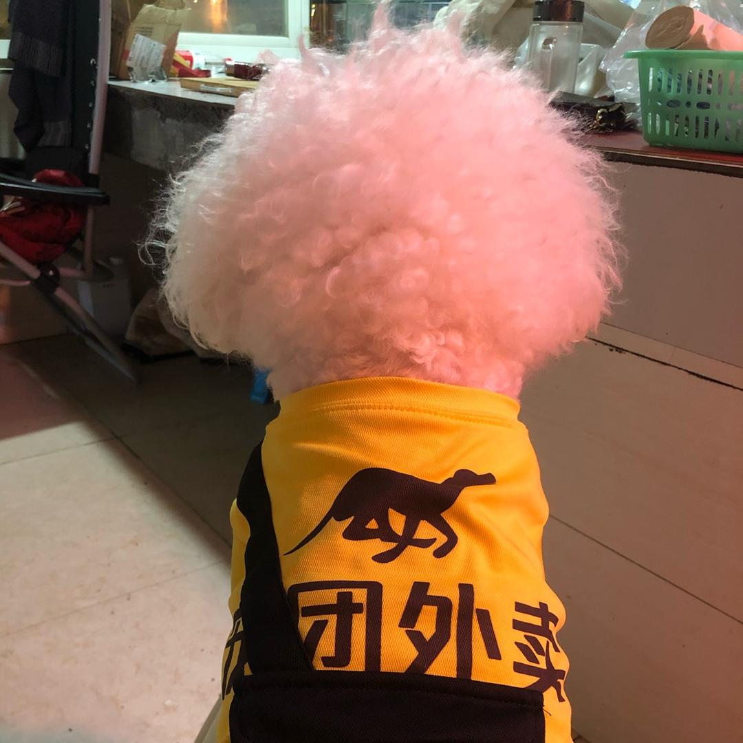 胡小姐🥀