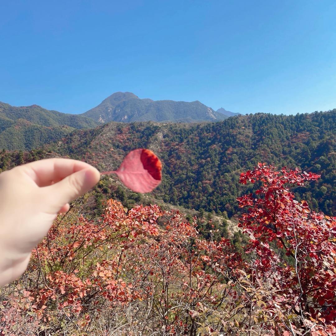 暖意💫