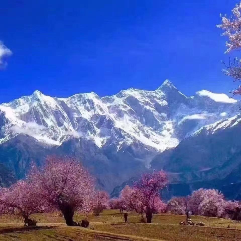 盛夏暖阳