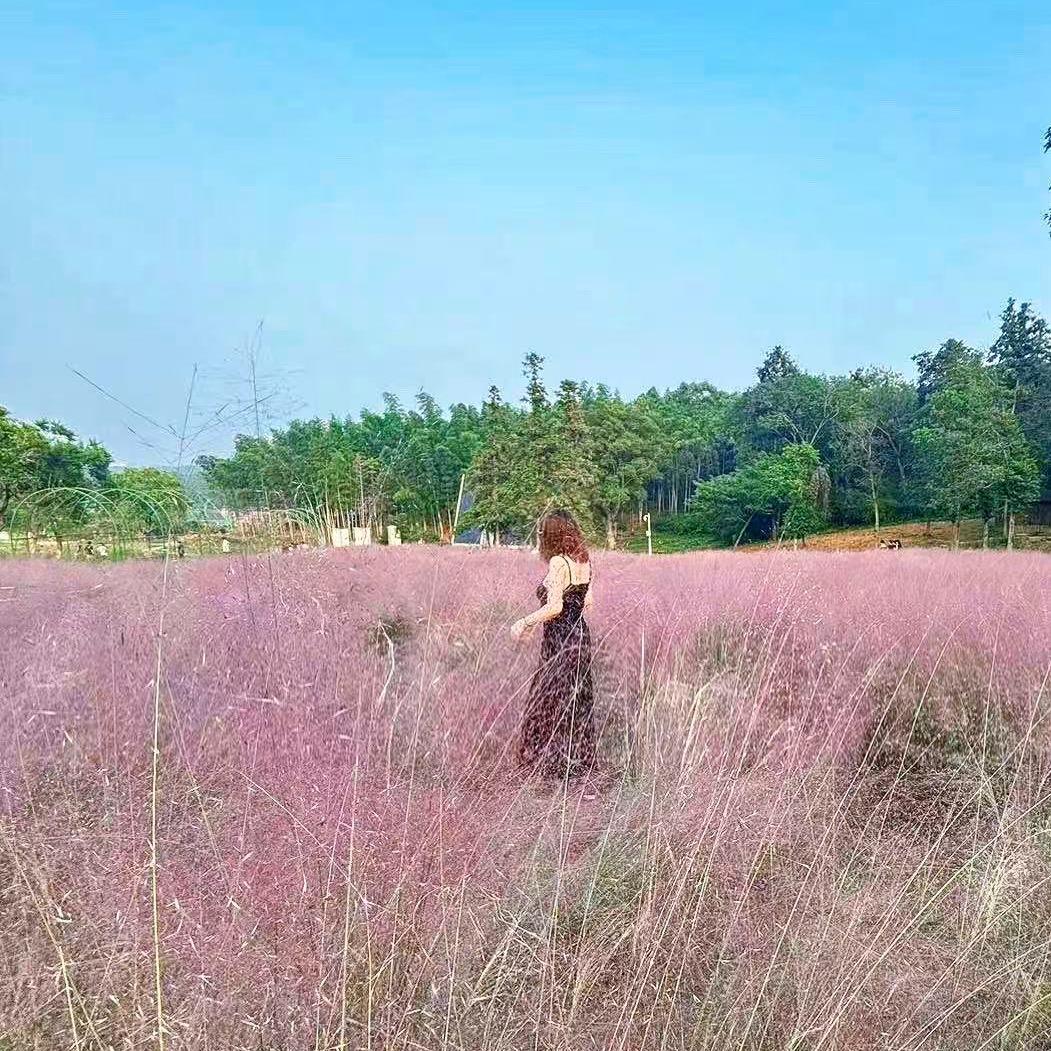 🌈美少女壮士（拒私聊）