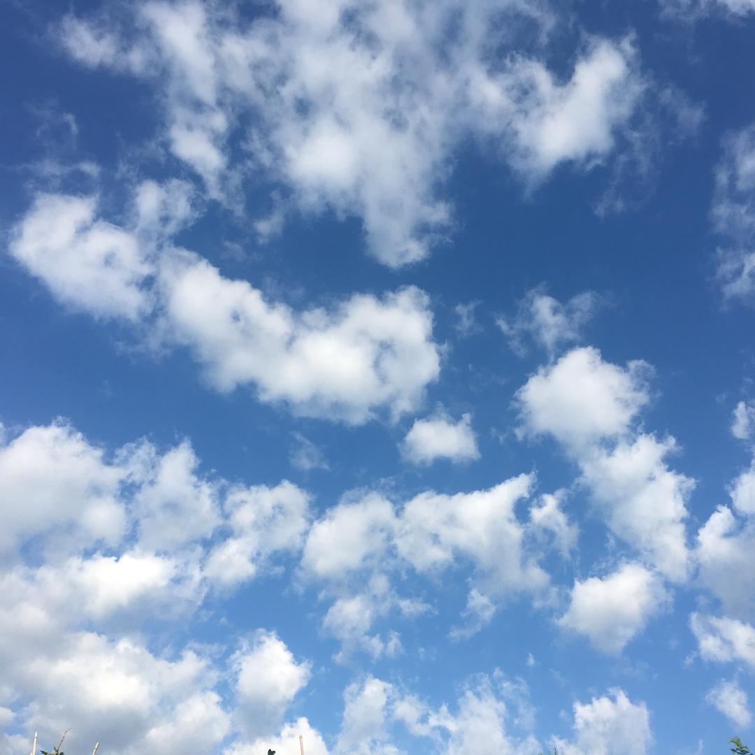 放飞自我