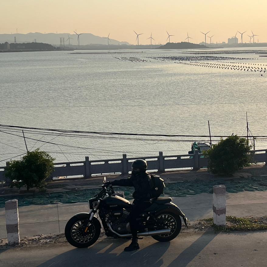 顾得尬