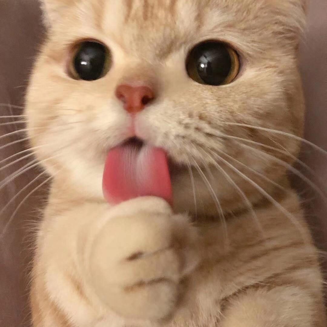 小L