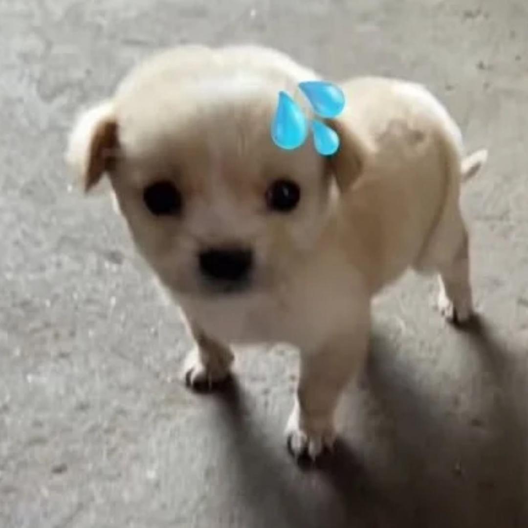 除夕