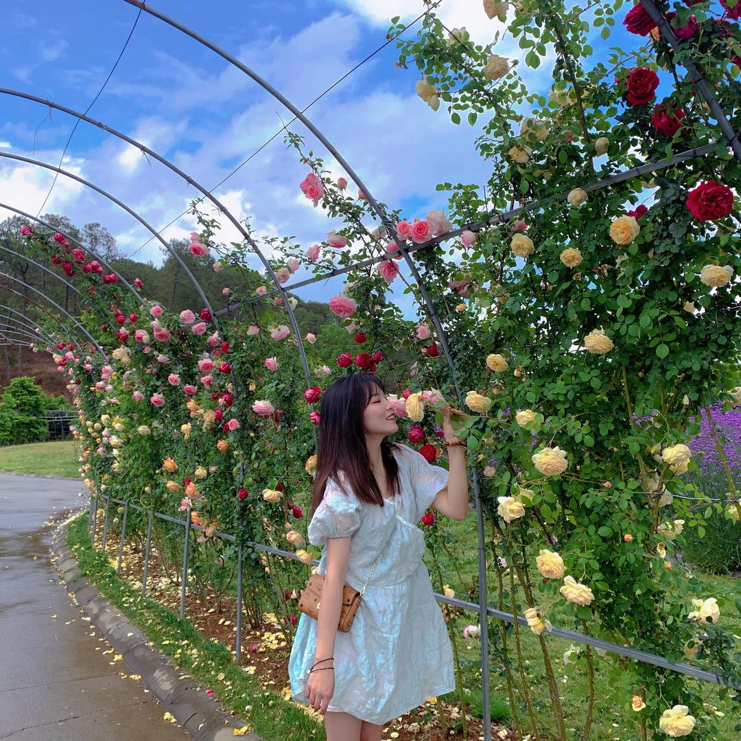 💸晨子