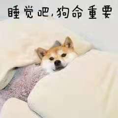 桦浩网络卡莎