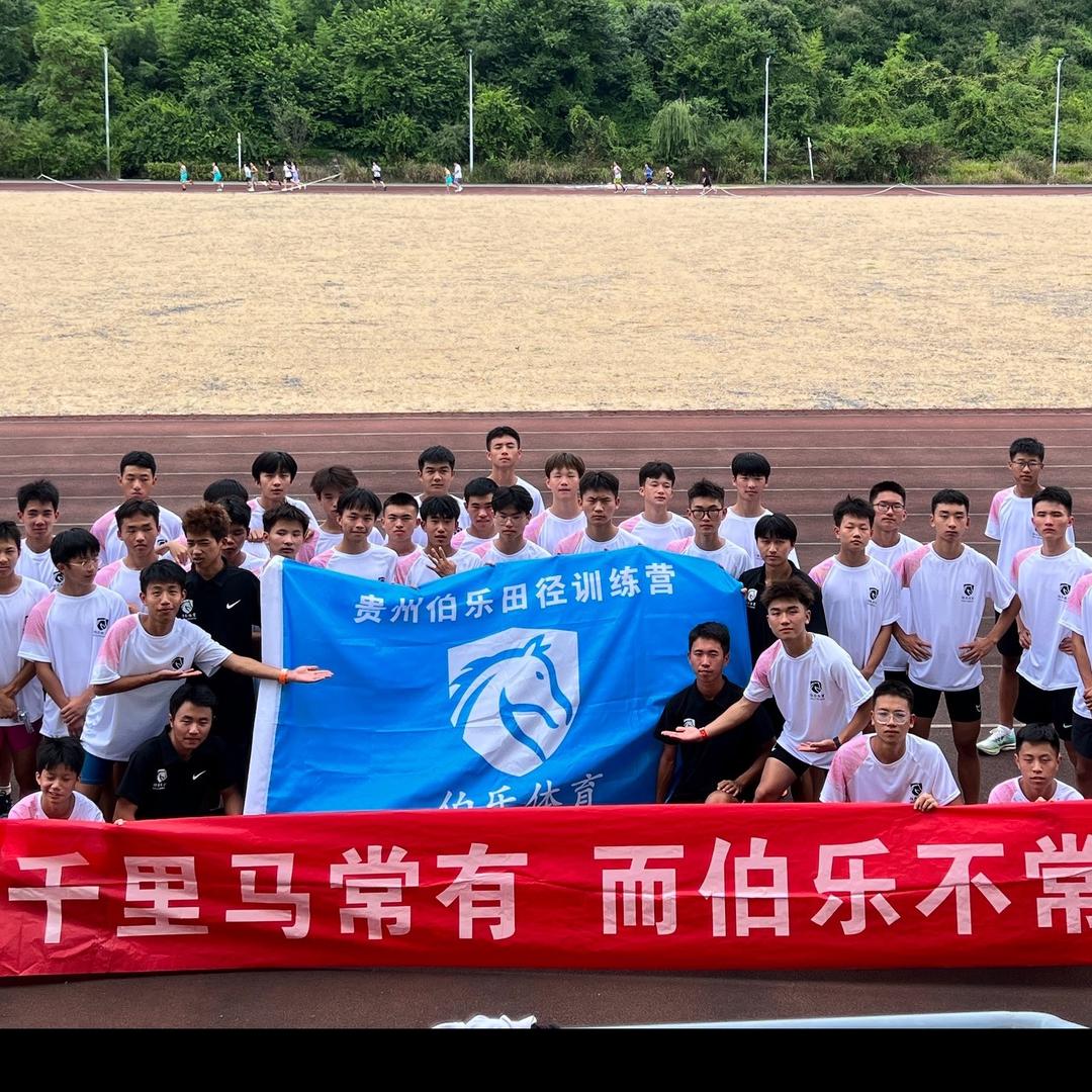 伯乐训练营龙教